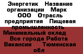 Энергетик › Название организации ­ Марк 4, ООО › Отрасль предприятия ­ Пищевая промышленность › Минимальный оклад ­ 1 - Все города Работа » Вакансии   . Тюменская обл.